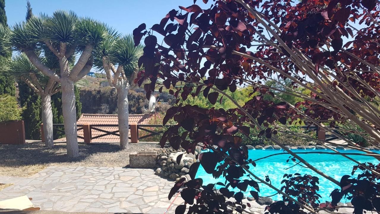 El Pedral Guest House Los Llanos De Aridane Bagian luar foto